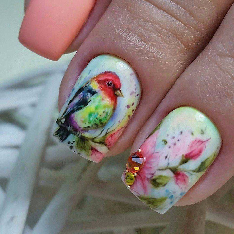 Рисунок акварелью